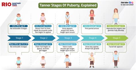 teen cone tits|Stages of Puberty Explained in Pictures